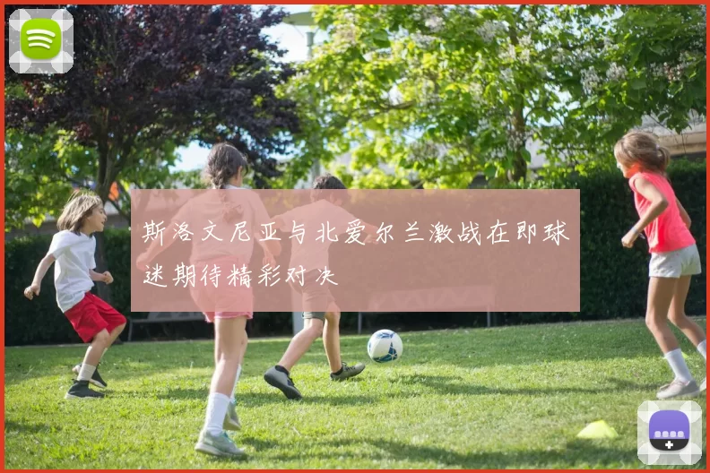 斯洛文尼亚与北爱尔兰激战在即球迷期待精彩对决