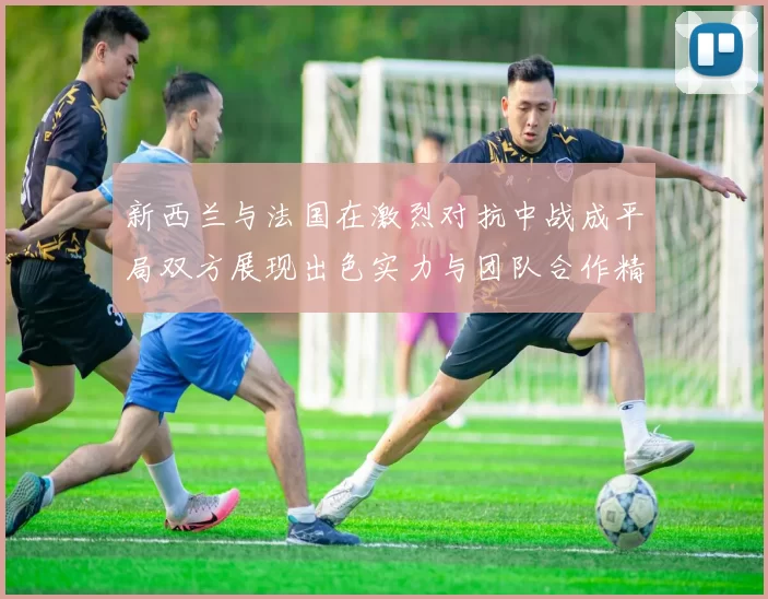 新西兰与法国在激烈对抗中战成平局双方展现出色实力与团队合作精神