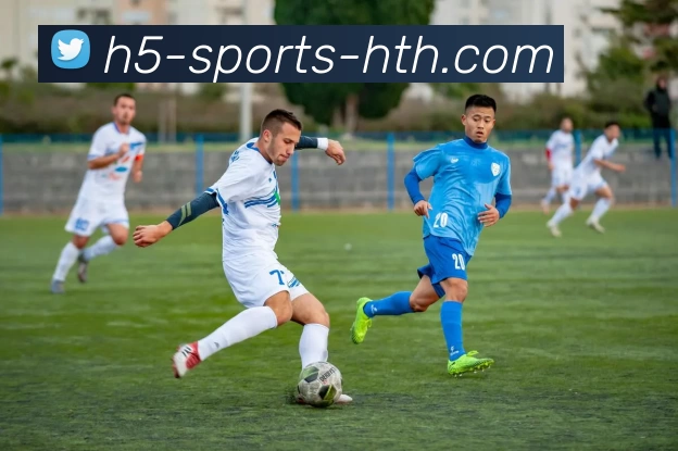 华体会服务体系